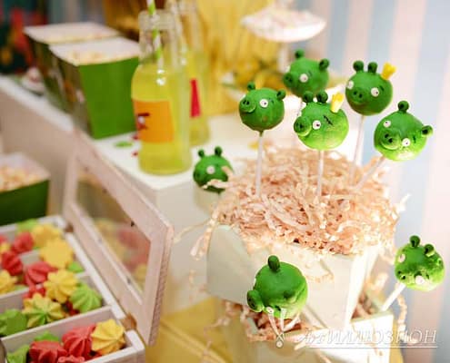 Angry Birds от Агентства Детских Праздников Арт-Иллюзион Киев Детский День Рождения в стиле Тачки Angry Birds