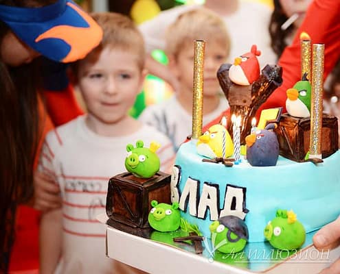 Angry Birds от Агентства Детских Праздников Арт-Иллюзион Киев Детский День Рождения в стиле Тачки Angry Birds