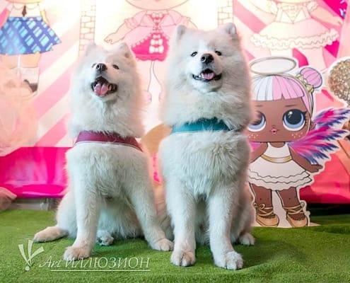 Фотозона LOL от агенства Art-Иллюзион Фотозоны и Декор LOL