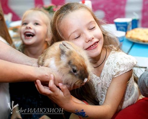 Трогательный зоопарк для детей и взрослых Шоу программа для детей и взрослых на праздник