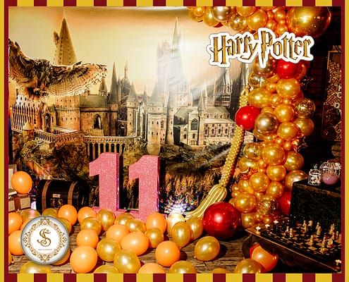 Фотозона в стиле Harry Potter Фотозона и Декор Harry Potter