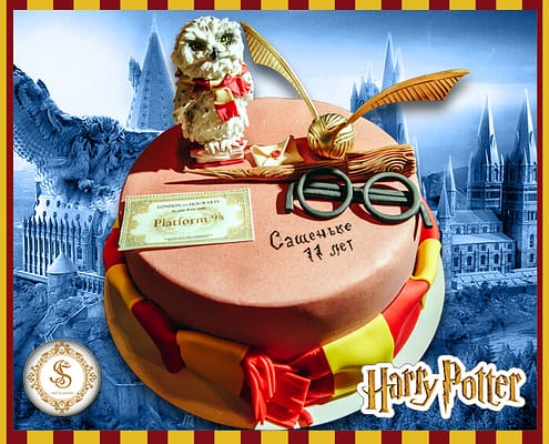 Торт на заказ Киев в стиле Harry Potter Торт на заказ на День рождения ребенка Киев