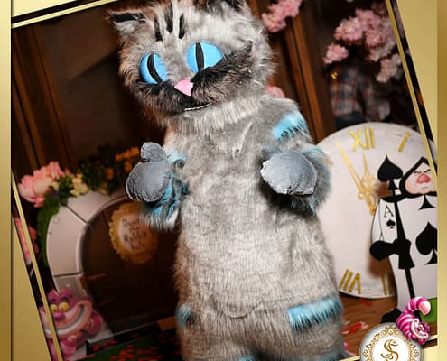 Alice от Агентства Детских Праздников Арт-Иллюзион Киев Детский День Рождения в стиле Алиса