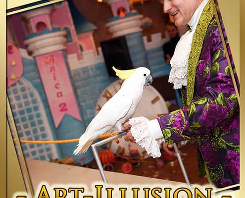 Princess от Агентства Детских Праздников Арт-Иллюзион Киев Детский День Рождения в стиле Princess