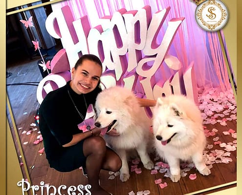 Princess от Агентства Детских Праздников Арт-Иллюзион Киев Детский День Рождения в стиле Princess