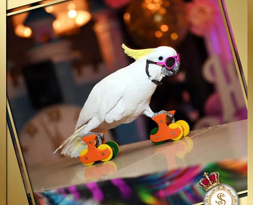 Princess от Агентства Детских Праздников Арт-Иллюзион Киев Детский День Рождения в стиле Princess