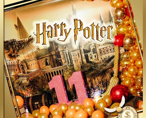 Оформление праздников в Киеве от ивент-агентства Арт-Иллюзион Фотозона на День Рождения в стиле Harry Potter