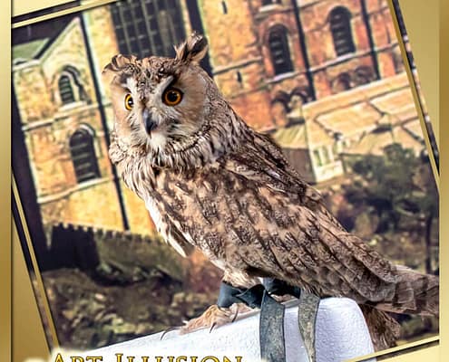 Организация праздников в Киеве от ивент-агентства Арт-Иллюзион Животные на праздник в Киеве