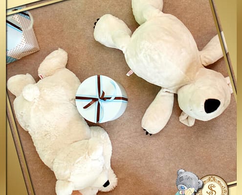 Фотозона и декор на день рождения в стиле Teddy Bear в Киеве Декор на Детский праздник в стиле Teddy Bea