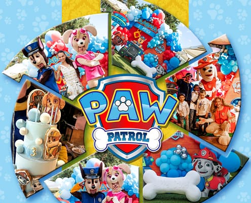 RAW Patrol от Агентства Детских Праздников Арт-Иллюзио Дитячий День Народження у стилі RAW Patrol
